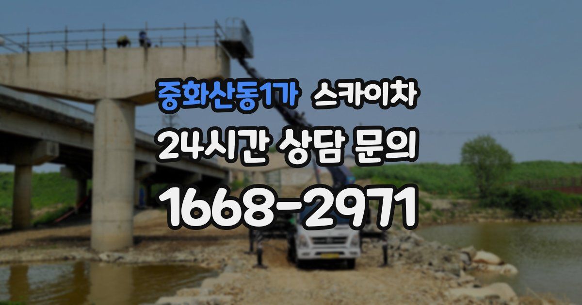 중화산동1가 스카이차