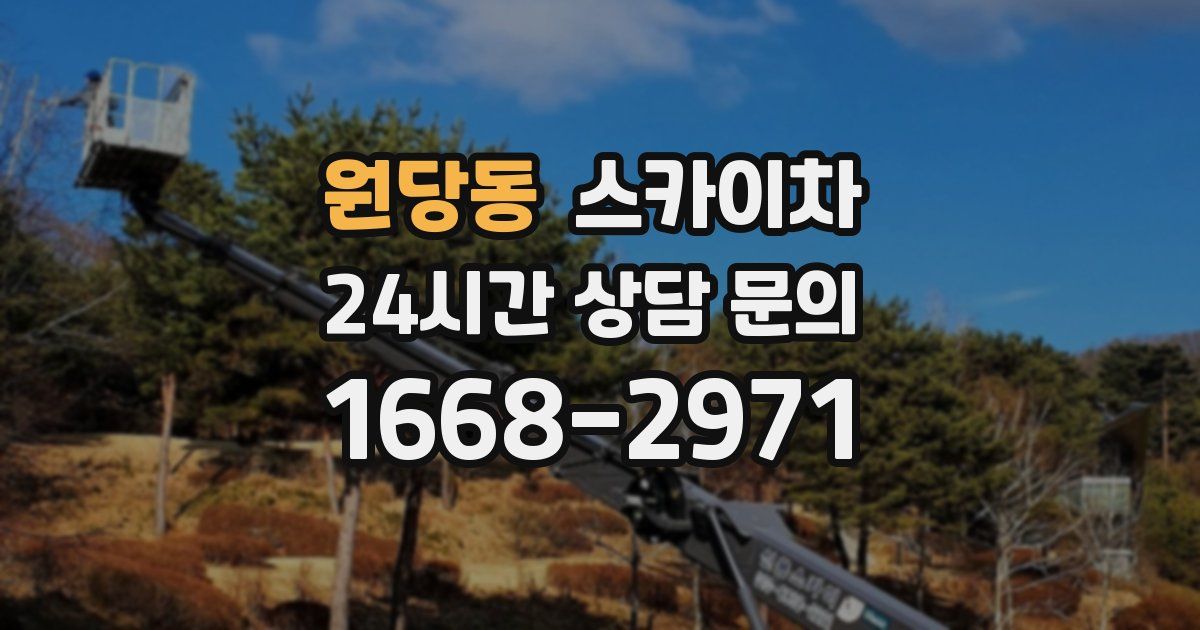 원당동 스카이차