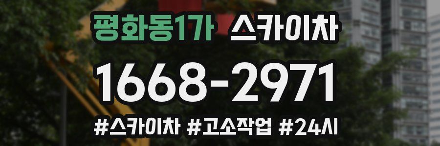 평화동1가 스카이차