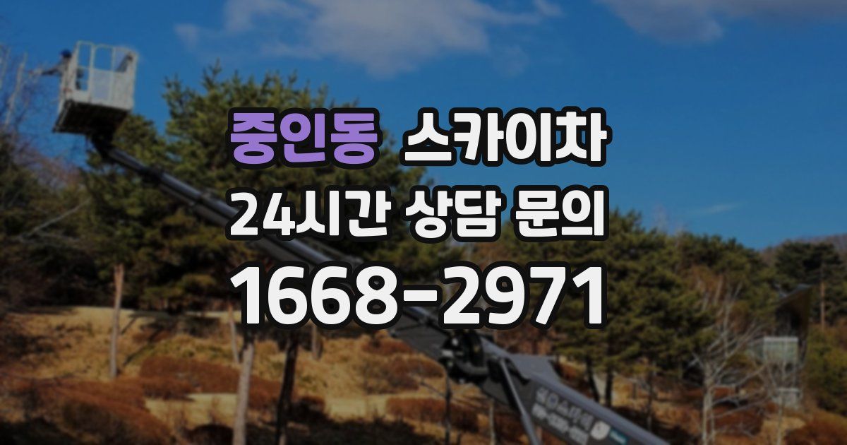 중인동 스카이차