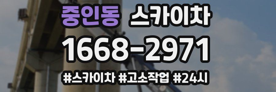 중인동 스카이차
