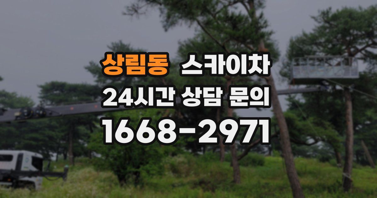 상림동 스카이차