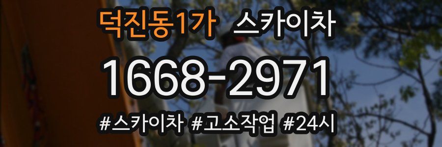 덕진동1가 스카이차