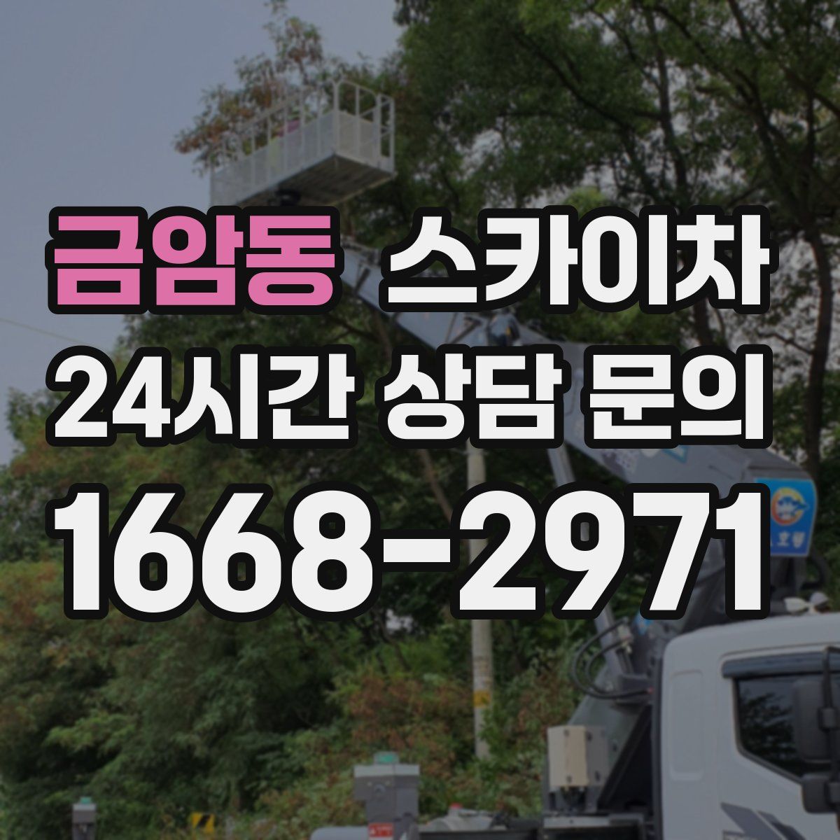 금암동 스카이차