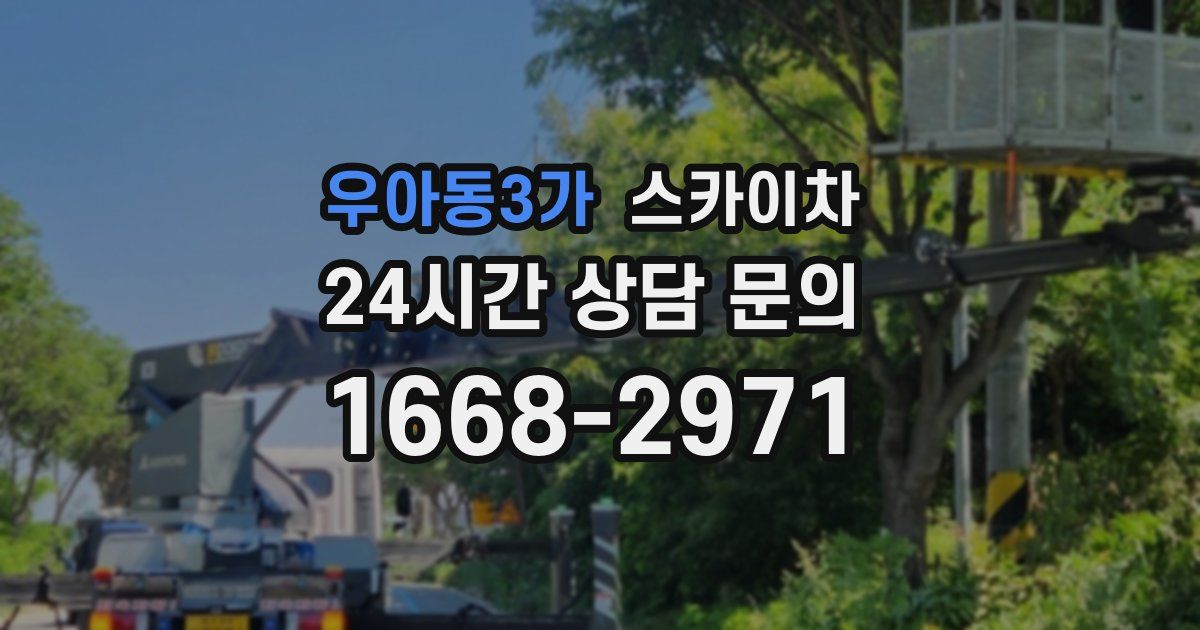 우아동3가 스카이차