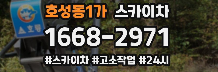호성동1가 스카이차