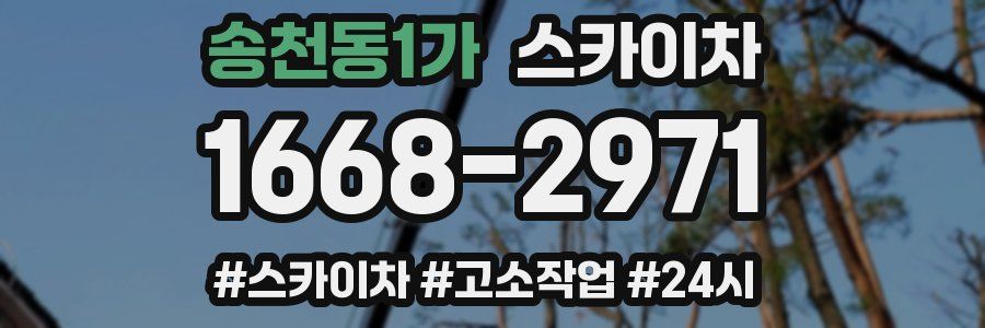 송천동1가 스카이차