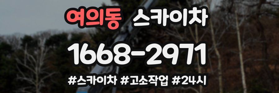 여의동 스카이차