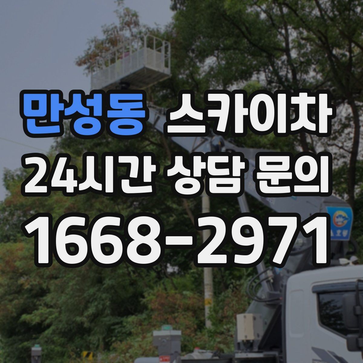만성동 스카이차 가로수 가지치기 작업 안전하게