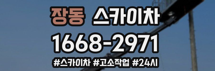 장동 스카이차
