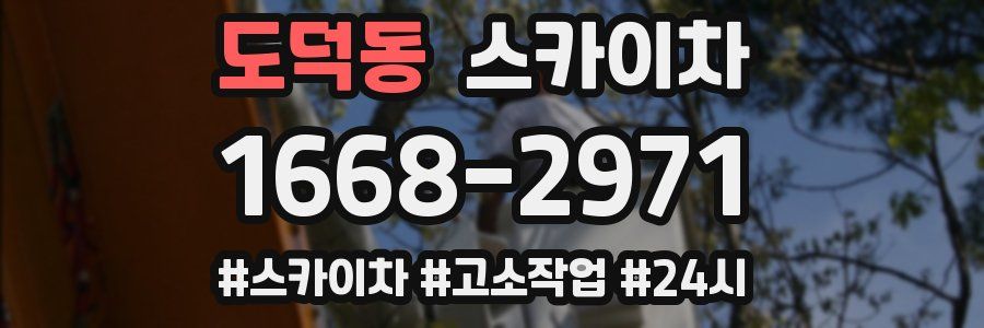 도덕동 스카이차