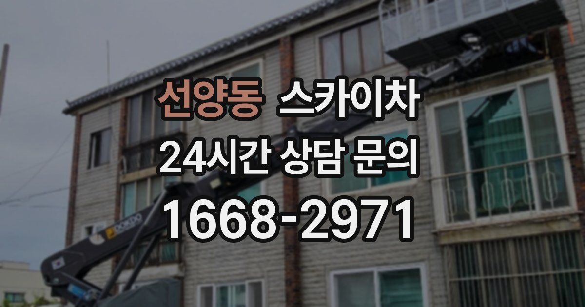 선양동 스카이차