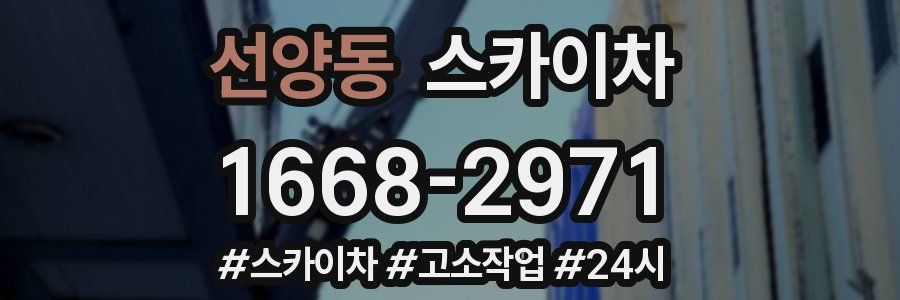 선양동 스카이차