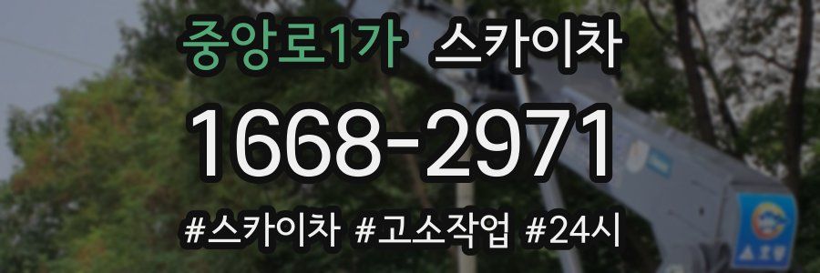 중앙로1가 스카이차