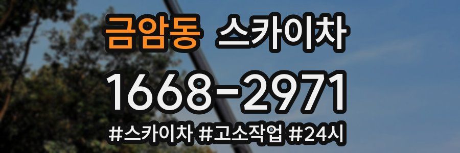 금암동 스카이차