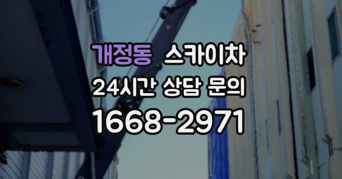 개정동 스카이차