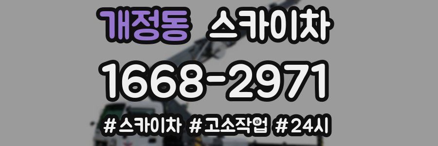 개정동 스카이차