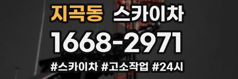 지곡동 스카이차