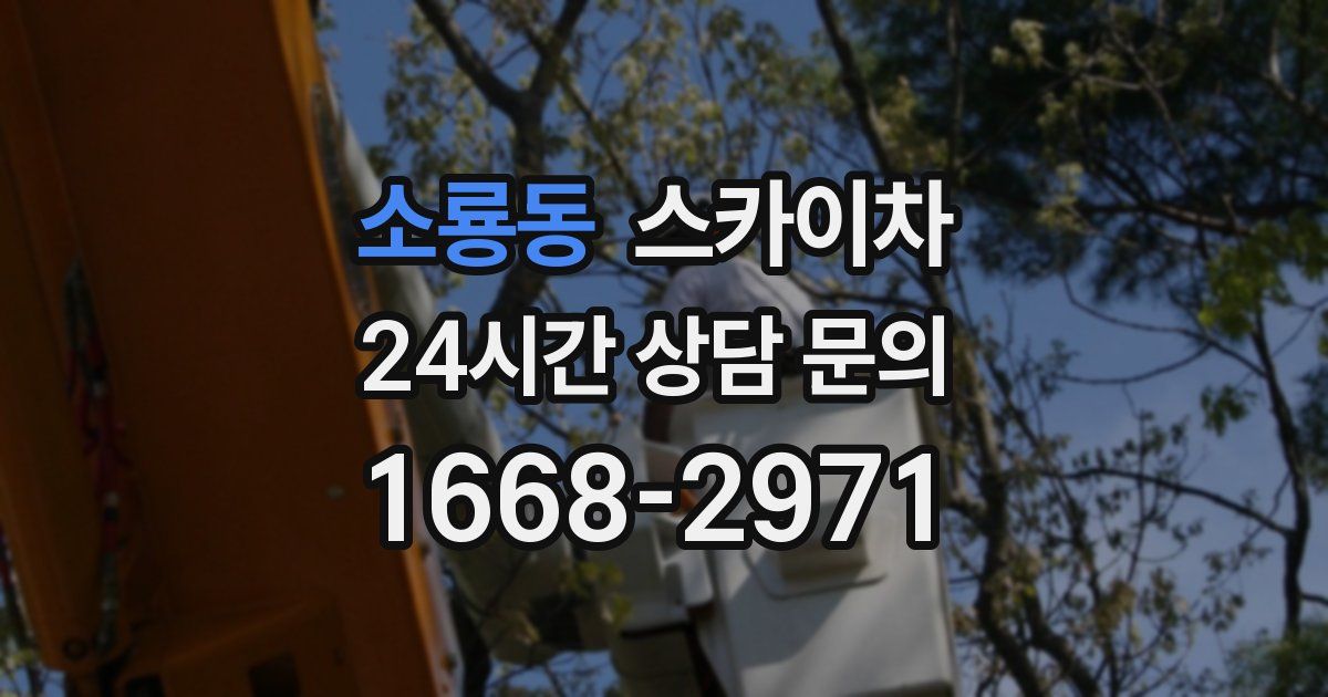 소룡동 스카이차