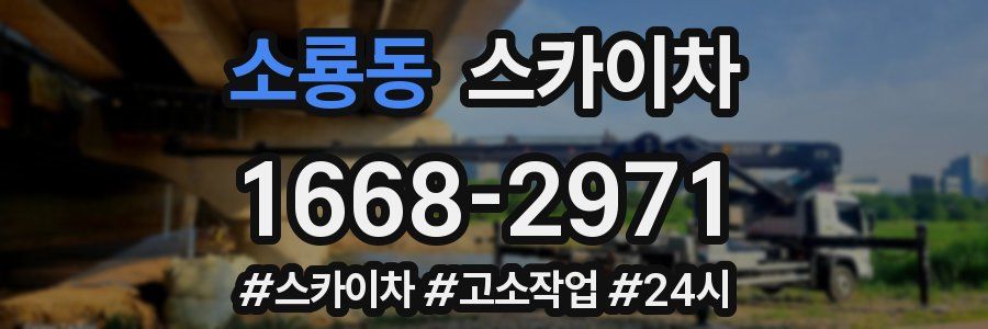 소룡동 스카이차