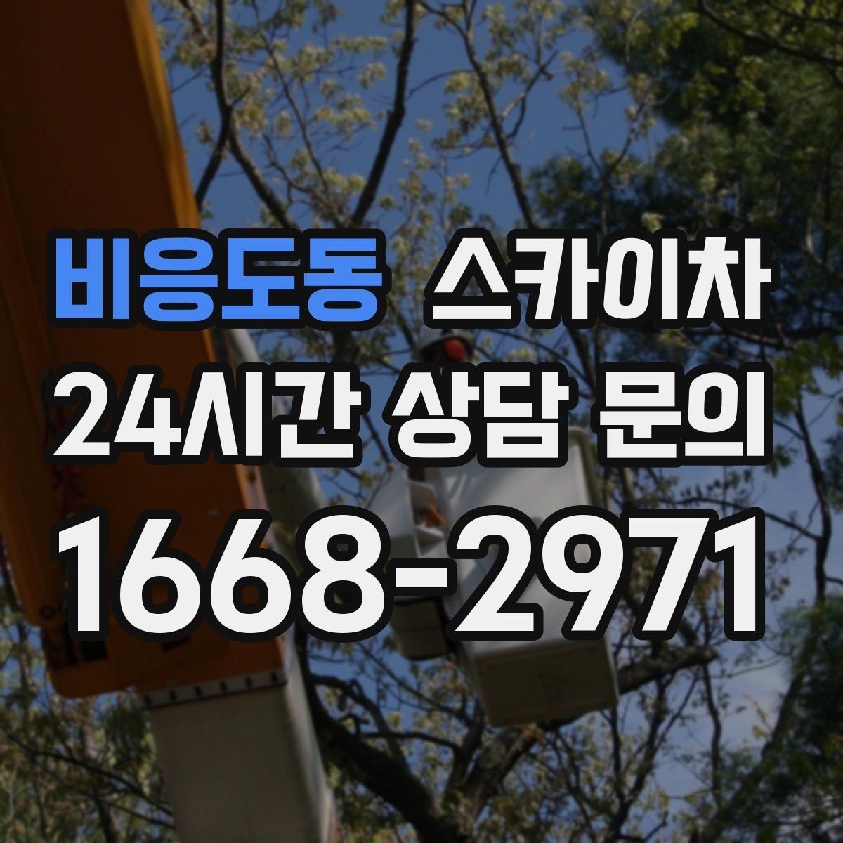 비응도동 스카이차 간판 전원선 정리로 누전 위험 줄이기