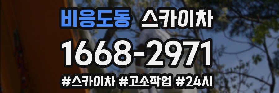 비응도동 스카이차