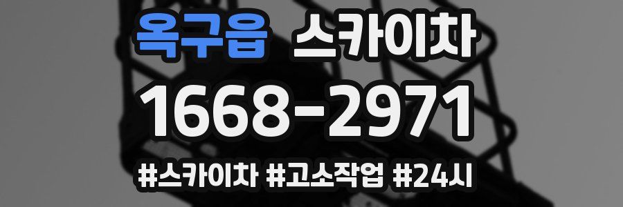 옥구읍 스카이차