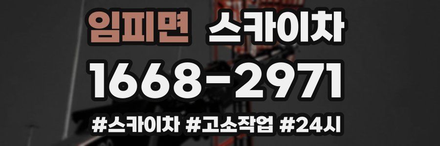 임피면 스카이차