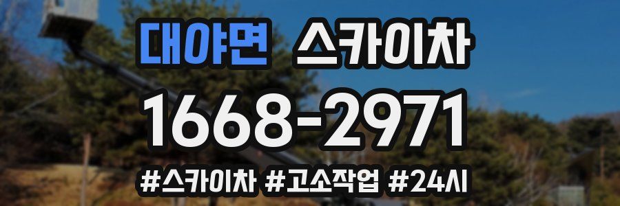 대야면 스카이차