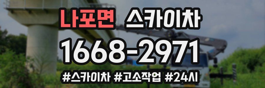 나포면 스카이차