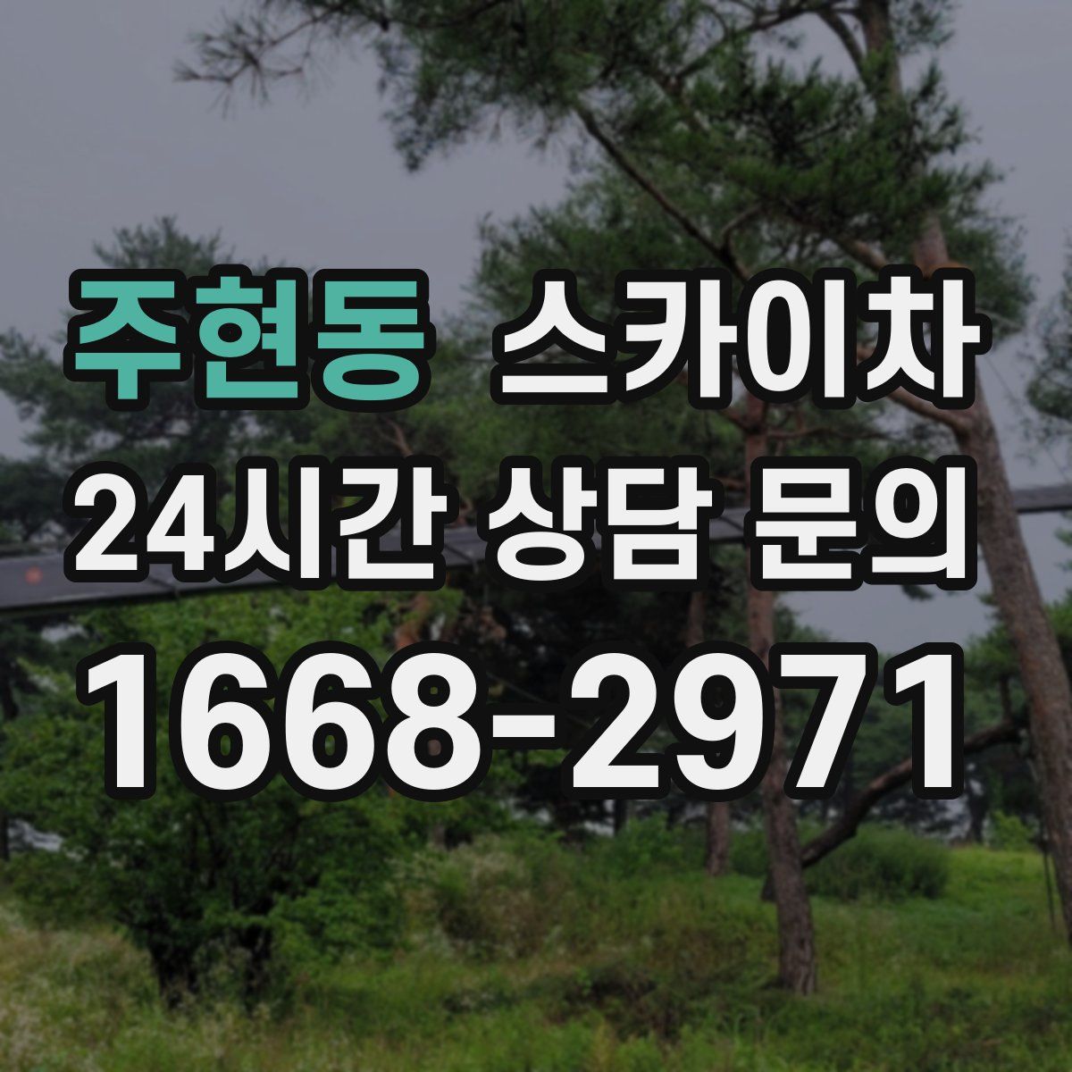 주현동 스카이차