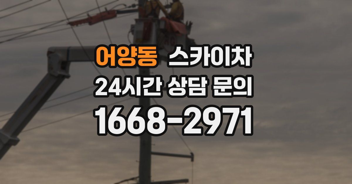 어양동 스카이차