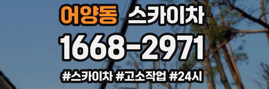 어양동 스카이차