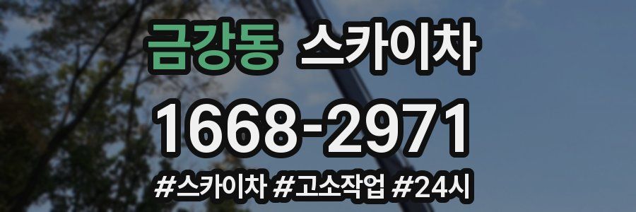 금강동 스카이차