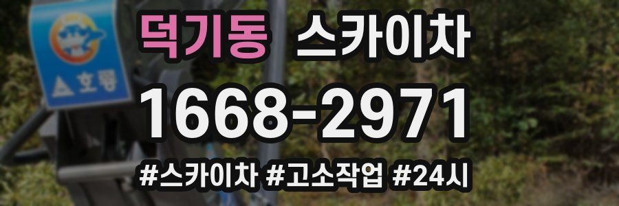 덕기동 스카이차