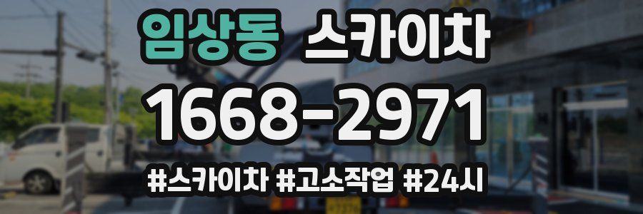 임상동 스카이차