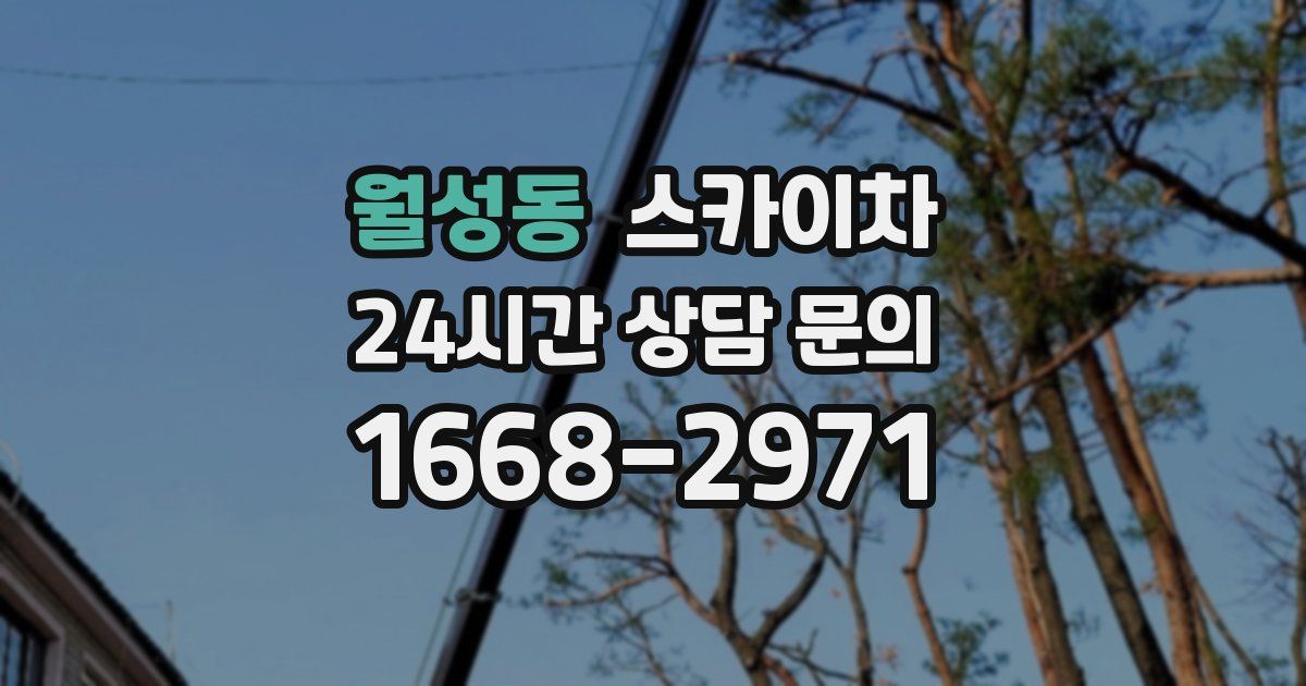 월성동 스카이차