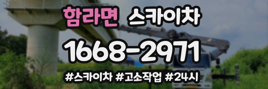 함라면 스카이차