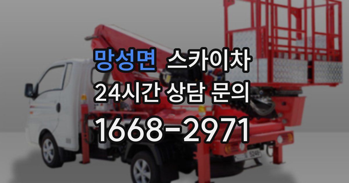 망성면 스카이차