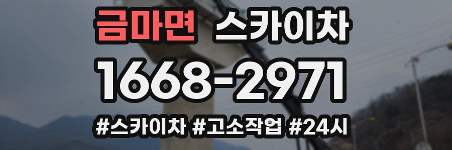금마면 스카이차