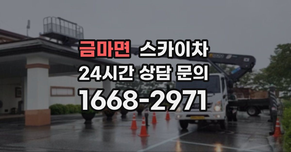 금마면 스카이차