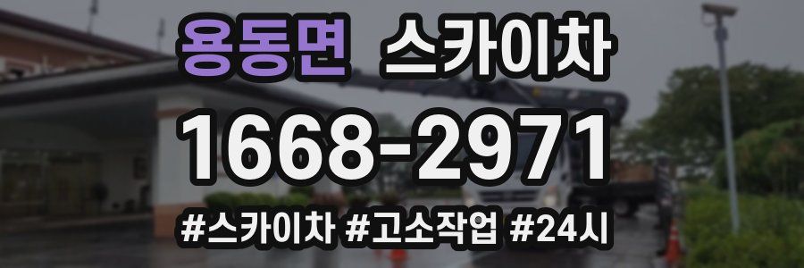 용동면 스카이차