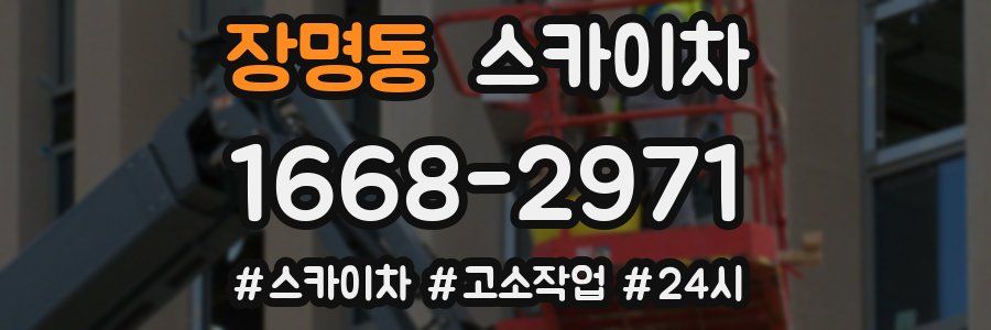 장명동 스카이차