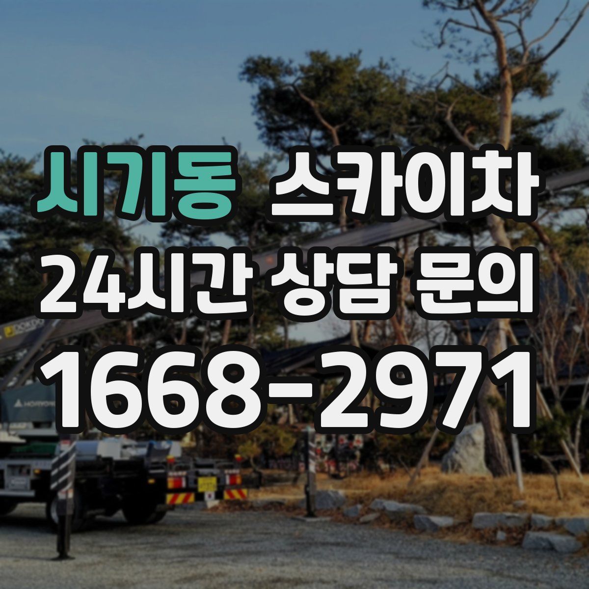 시기동 스카이차