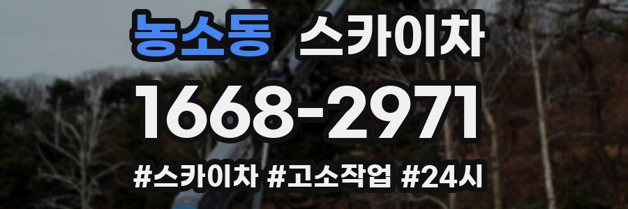 농소동 스카이차