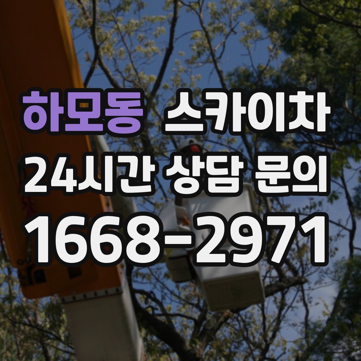 하모동 스카이차