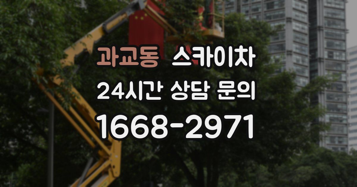 과교동 스카이차