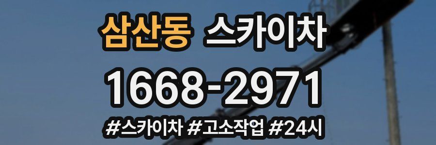 삼산동 스카이차