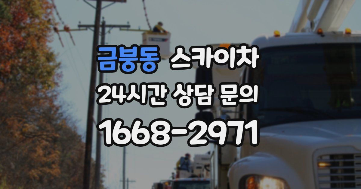 금붕동 스카이차