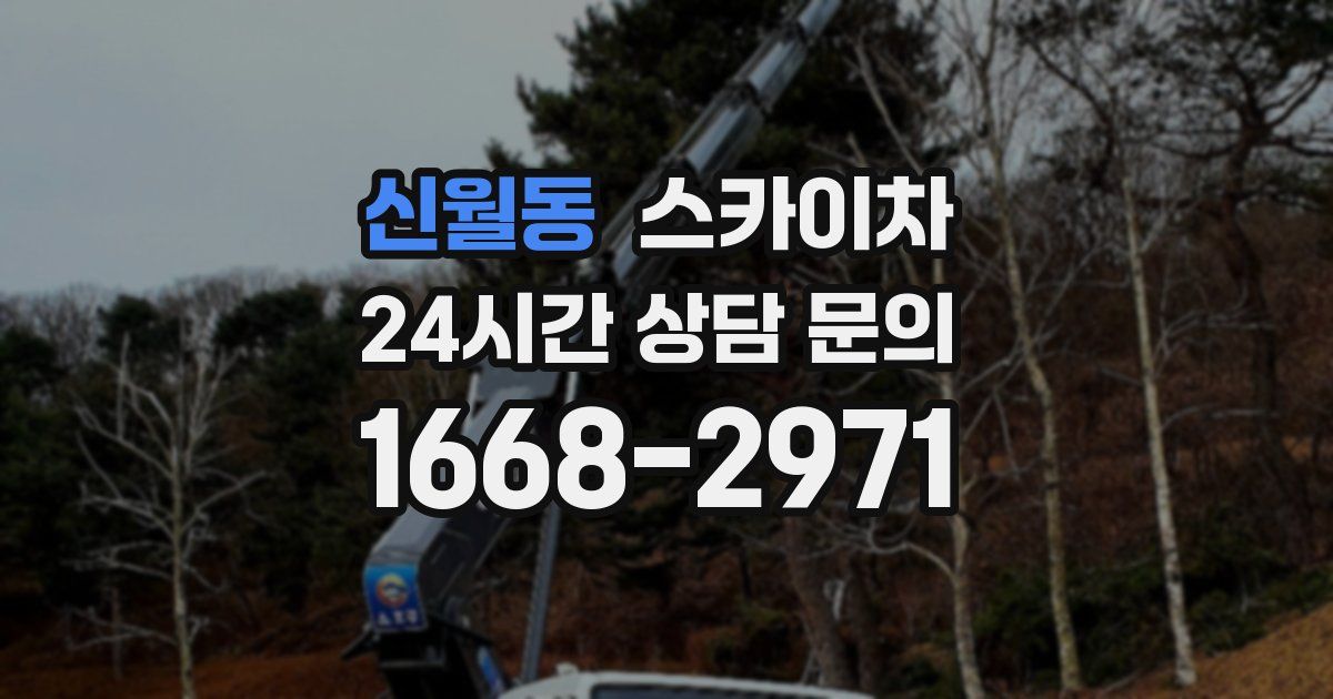 신월동 스카이차